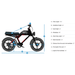 G-Force 750W ZM Fat Tire Electric Bike - EB-GF-ZM-13.5