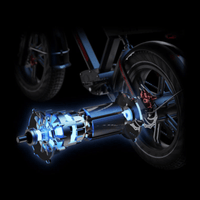 G-Force 750W ZF Moped-Style Electric Bike - EB-GF-ZF-13.5