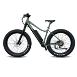 Surface 604 500W Boar Explorer Electric Bike - EB-EXPLORER-GRN-14AH Price