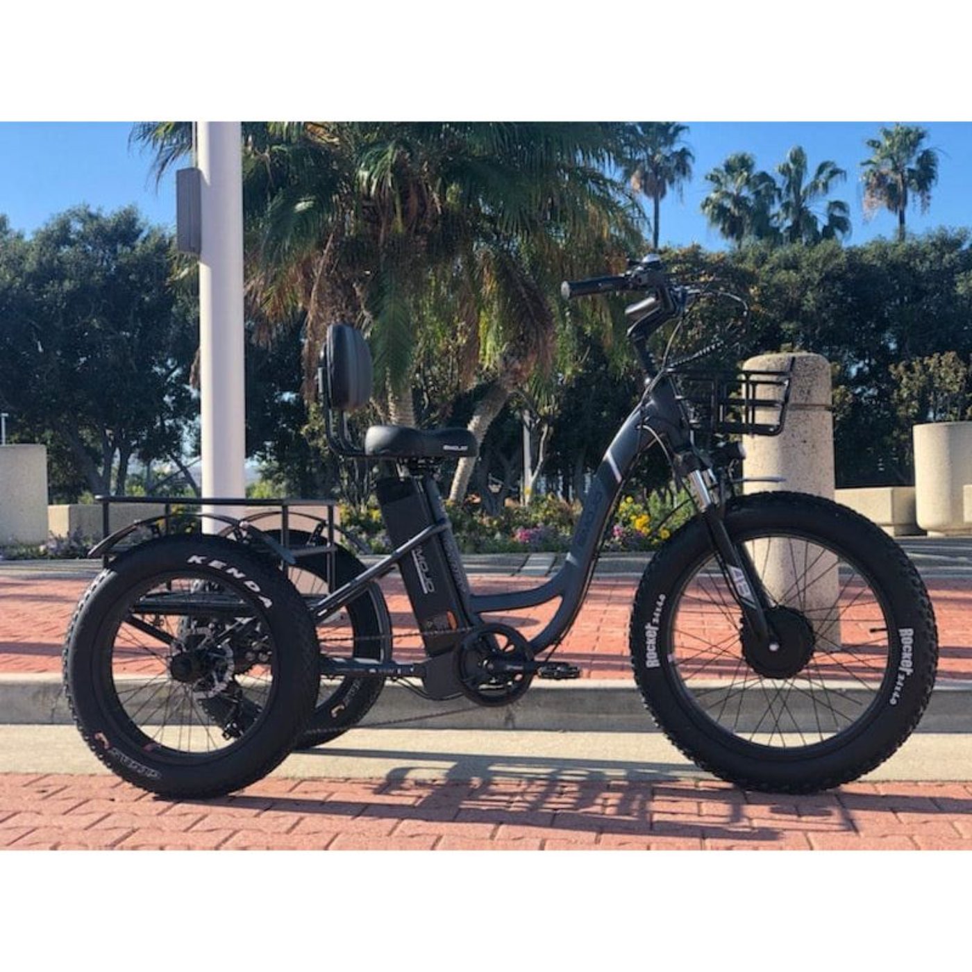 Emojo Caddy Pro 500W 48V Fat Tire Electric Tricycle - EBK12-02