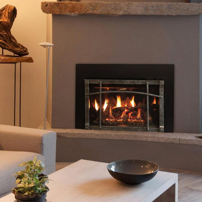 Empire Rushmore 30" Direct Vent Gas Insert  DVCT30CBN - DVCT30CBN95N