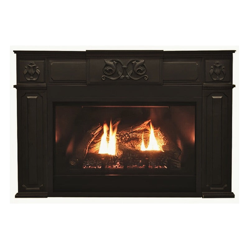 Empire Innsbrook Medium Clean Face Direct Vent Gas Insert | DVC26IN