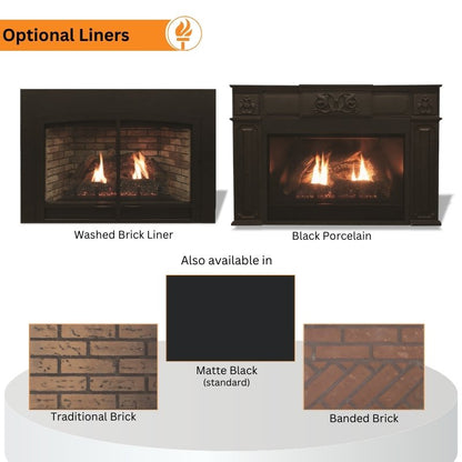 Empire Innsbrook Medium Clean Face Direct Vent Gas Insert | DVC26IN