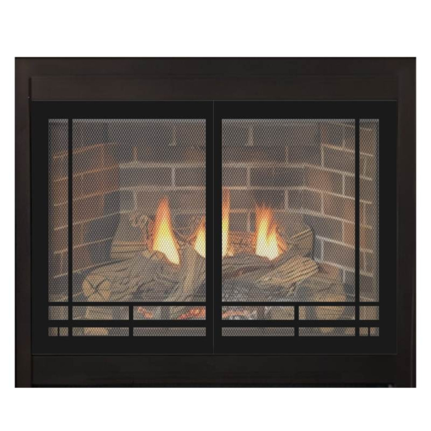 Empire Tahoe Deluxe 48" Direct Vent Gas Fireplace - DVD48FP30N