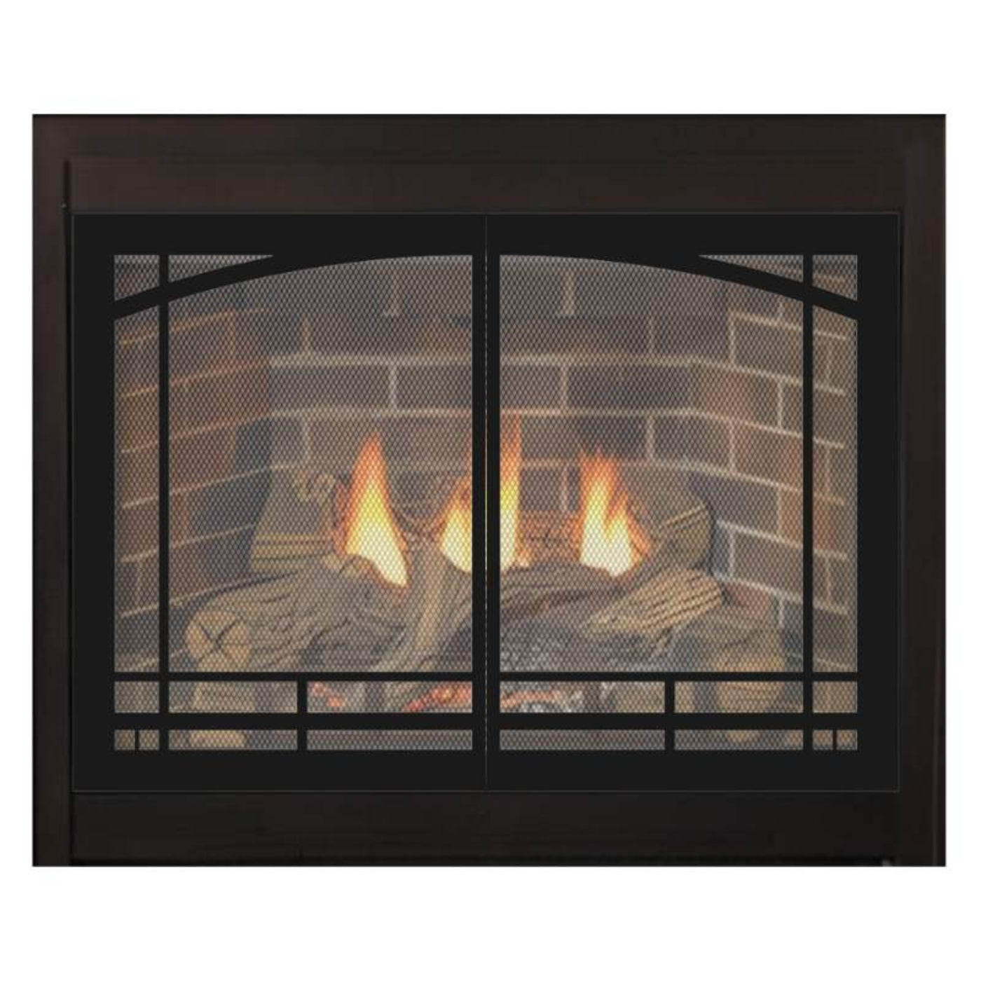 Empire Tahoe Deluxe 48" Direct Vent Gas Fireplace - DVD48FP30N