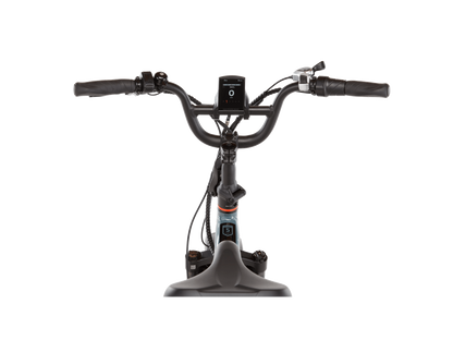 RadExpand™ 5 Plus Electric Folding Bike - 103-00056