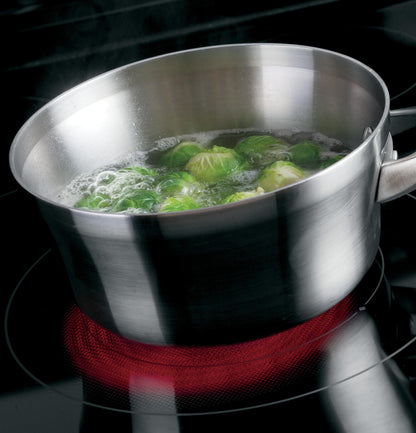 GE APPLIANCES GE 30" Drop-In Electric Range in Stainless Steel - JD630STSS