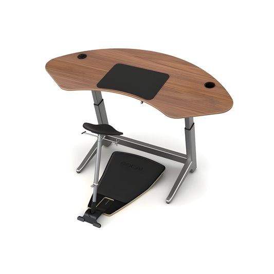 Positive Posture Focal Upright Sphere Bundle - SBN-1000-WA-BK-BK