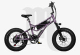 Fucare Scorpio Fat Tire Off-Road Electric Bike - SCORPIO-WH