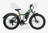 Fucare Taurus Electric Mountain Dirt Bike - TAURUS 25G-GY