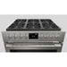 Fulgor Milano 36 in. 600 Series Dual Fuel Range with 6 Burners in Stainless Steel - F6PDF366S1