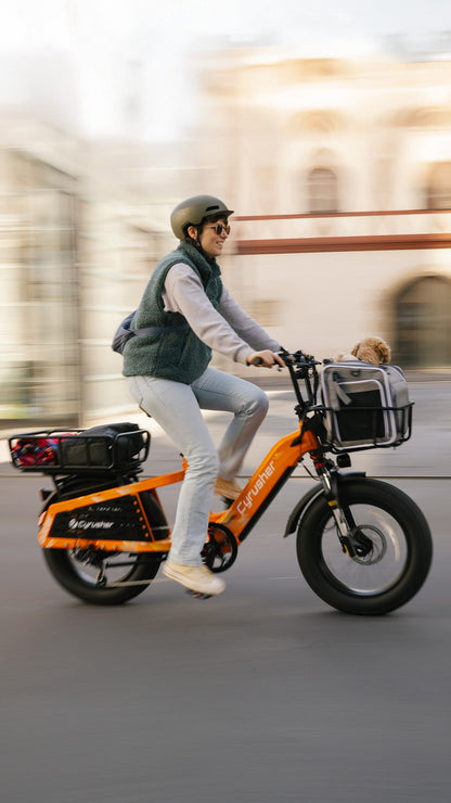 Cyrusher Glider Cargo E-Bike