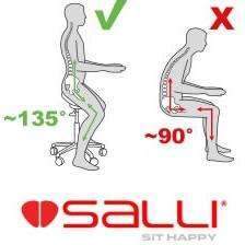 Salli ErgoRest Twin Sonography Chair for Better Posture - SC-120-BL-S