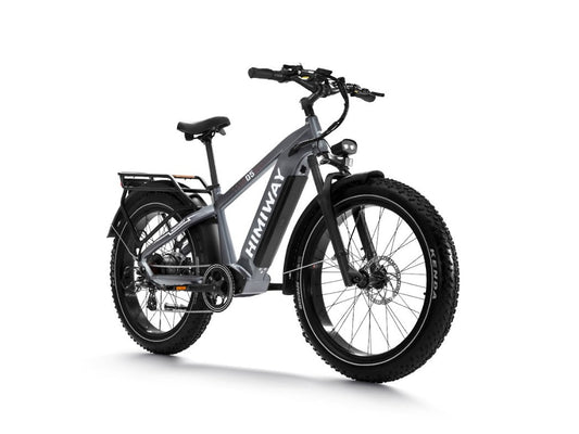 Samson Himiway Zebra D5 Electric Bicycle 48V 750W 20 MPH Torque Sensor 26" Fat Tire New - HMW-D5-GY-SO-US