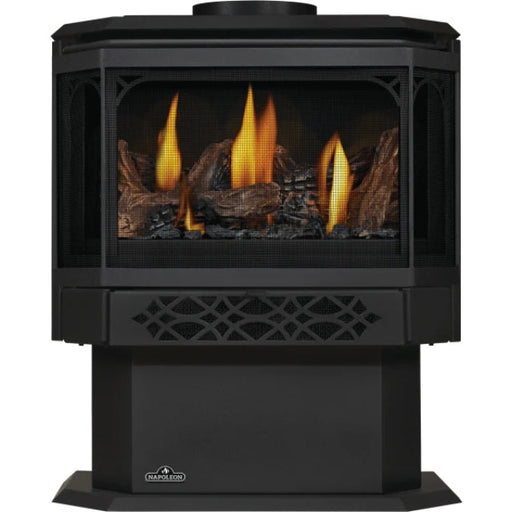 Napoleon Fireplaces Haliburton Direct Vent Stove, Natural Gas, Alternate Electronic Ignition, Napoleon, 22.5", GDS28-1NEA