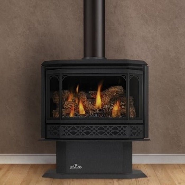 Napoleon Fireplaces Havelock Free-Standing Millivolt Ignition Direct Vent Gas Stove, Black, Napoleon, 28 1/4", GDS50-1NSB