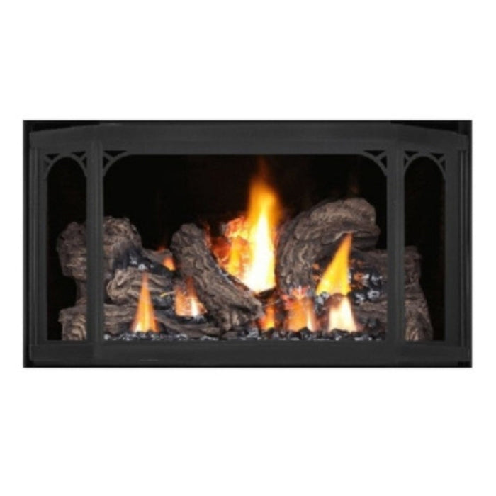 Napoleon Fireplaces Havelock Painted Metallic Black Stove Door, Napoleon, 17", GS350K-1