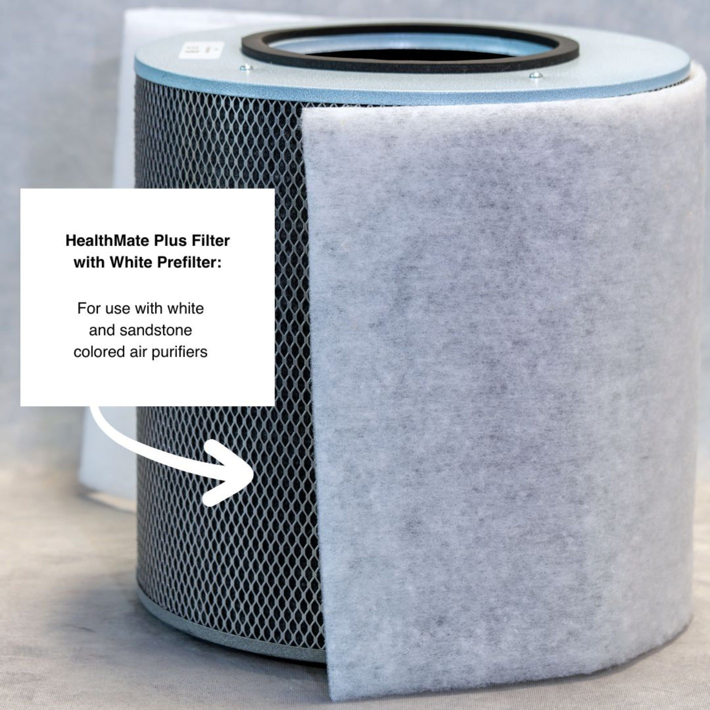 Austin Air HealthMate Plus Filter - FR450B