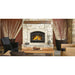 Napoleon Fireplaces High Country 3000 Wood Burning Fireplace, Napoleon, 42", NZ3000H-1