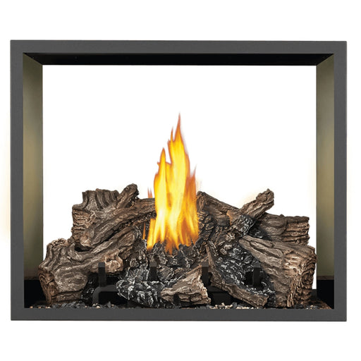 Napoleon Fireplaces High Definition 81 See Thru Direct Vent Gas Fireplace, Napoleon, 54.25" - HD81NT-1