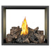 Napoleon Fireplaces High Definition 81 See Thru Direct Vent Gas Fireplace, Napoleon, 54.25" - HD81NT-1