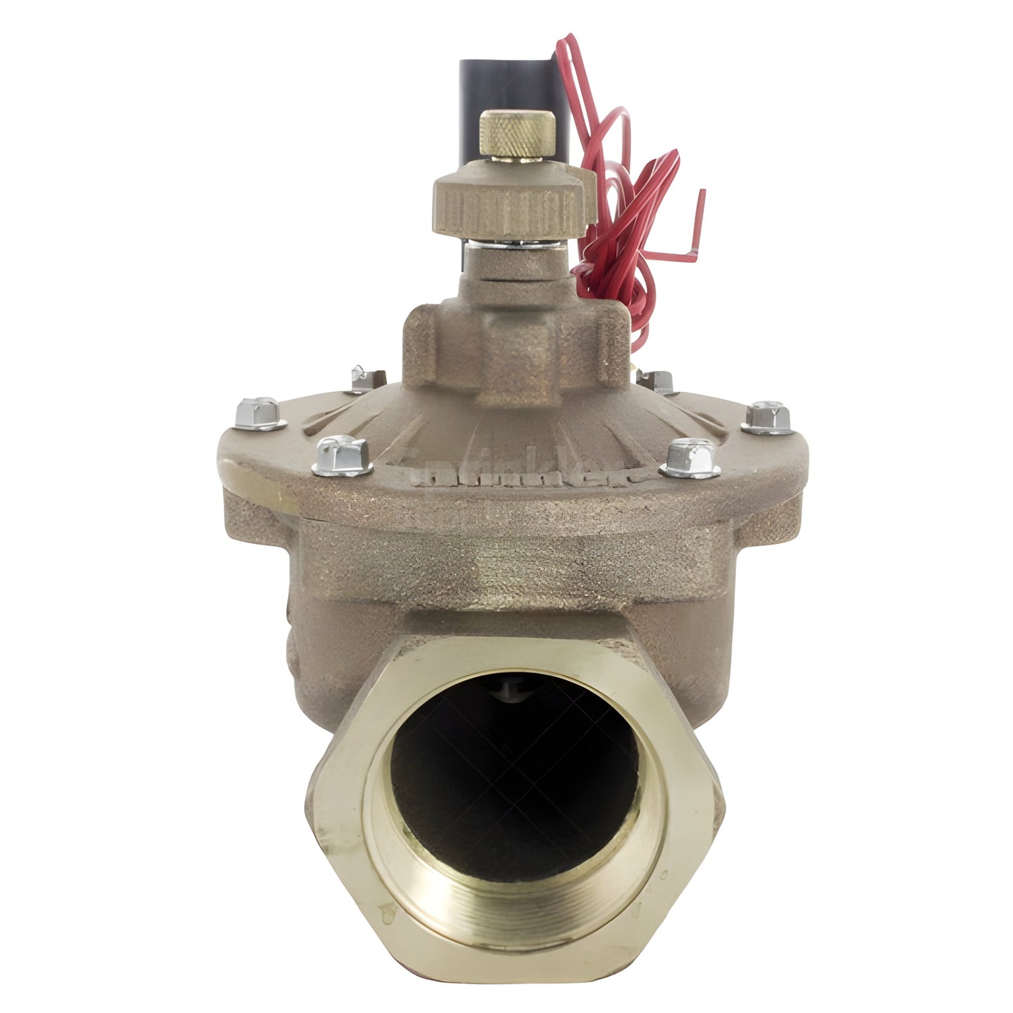 Hunter 1 1/2 in. Brass Globe Valve, Filter Sentry - IBV151GFS