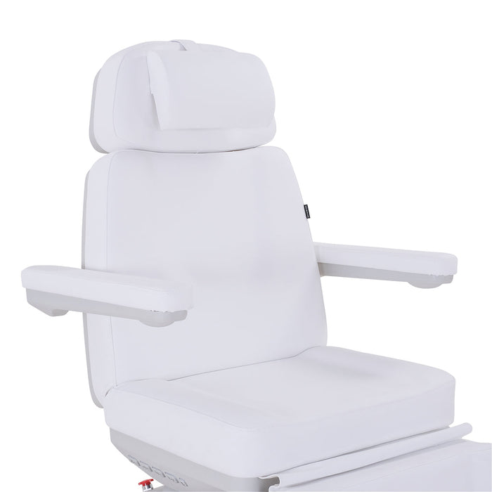 Silver Fox Professional Electric Medi Spa / Facial Chair - 2246BN