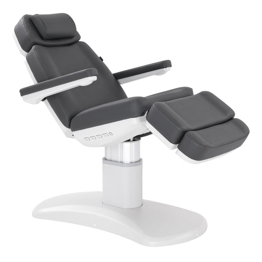 Silver Fox Professional Facial Chair / Massage Table - 2222BN