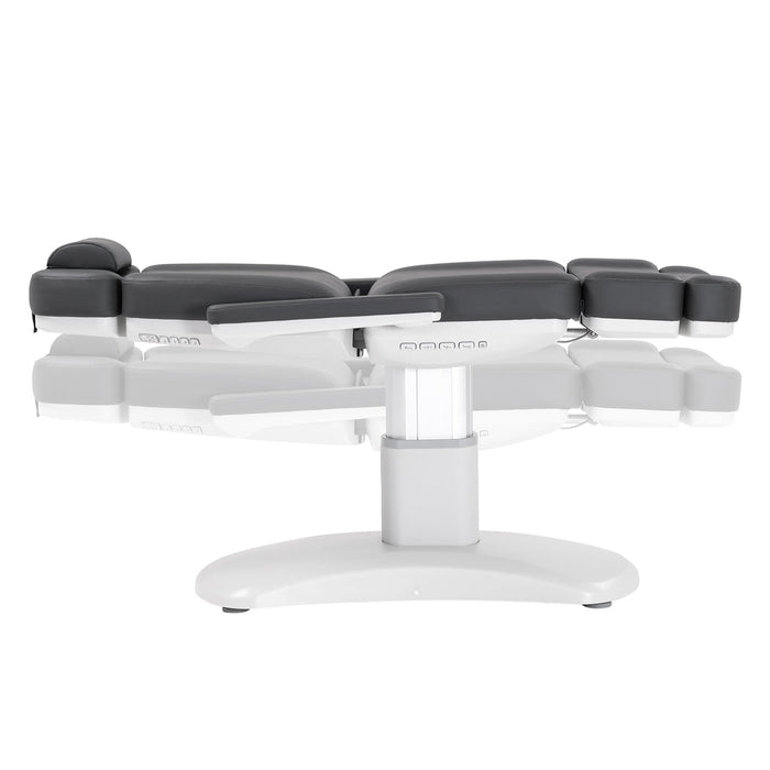 Silver Fox Professional Facial Chair / Massage Table - 2222BN