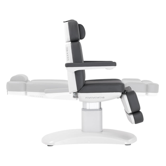 Silver Fox Professional Facial Chair / Massage Table - 2222BN