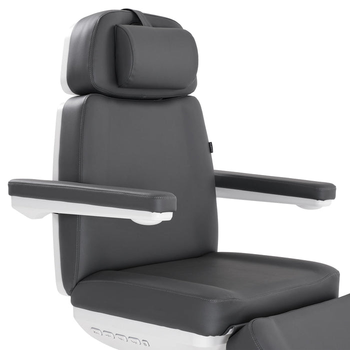 Silver Fox Professional Facial Chair / Massage Table - 2222BN