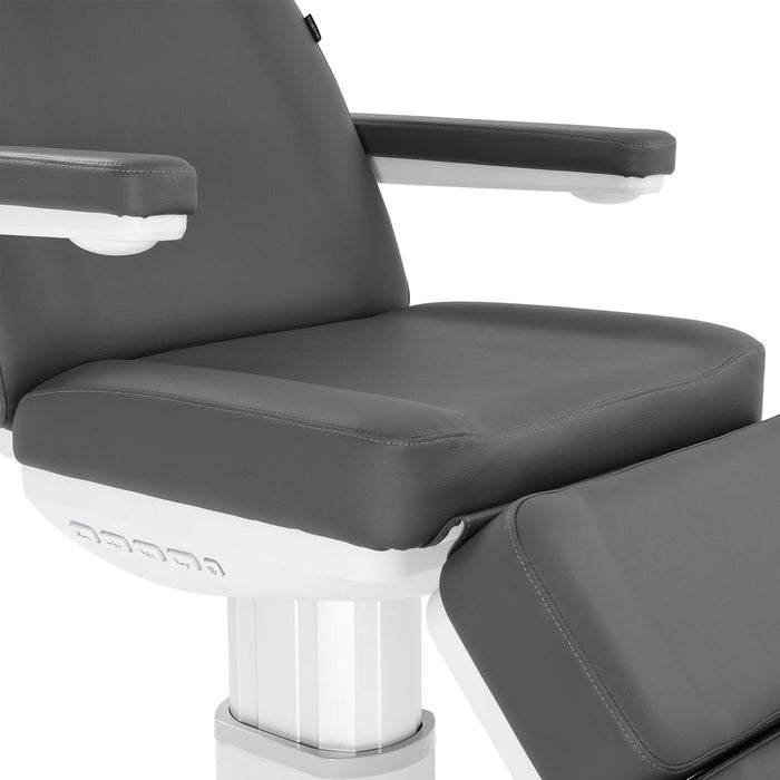 Silver Fox Professional Facial Chair / Massage Table - 2222BN