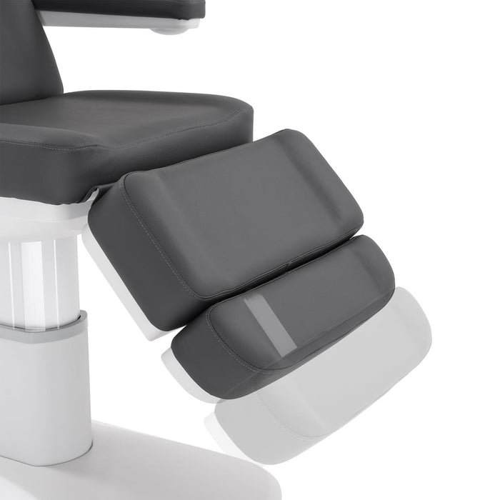 Silver Fox Professional Facial Chair / Massage Table - 2222BN