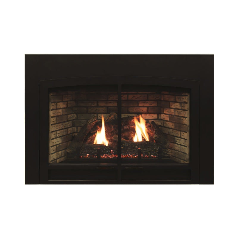 Empire Innsbrook Medium Clean Face Direct Vent Gas Insert | DVC26IN