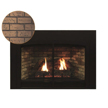 Empire Innsbrook Medium Clean Face Direct Vent Gas Insert | DVC26IN