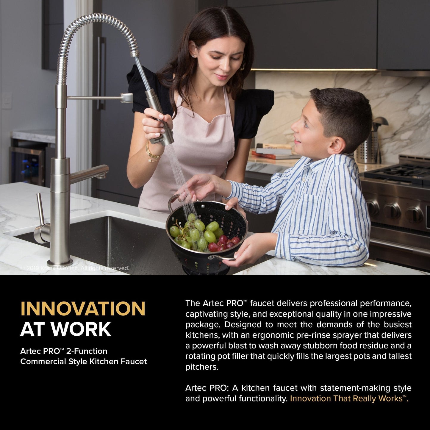 KRAUS Artec Pro 2-Function Commercial Style Pre-Rinse Kitchen Faucet in Black Stainless/Brushed Gold - KPF-1603SBBG