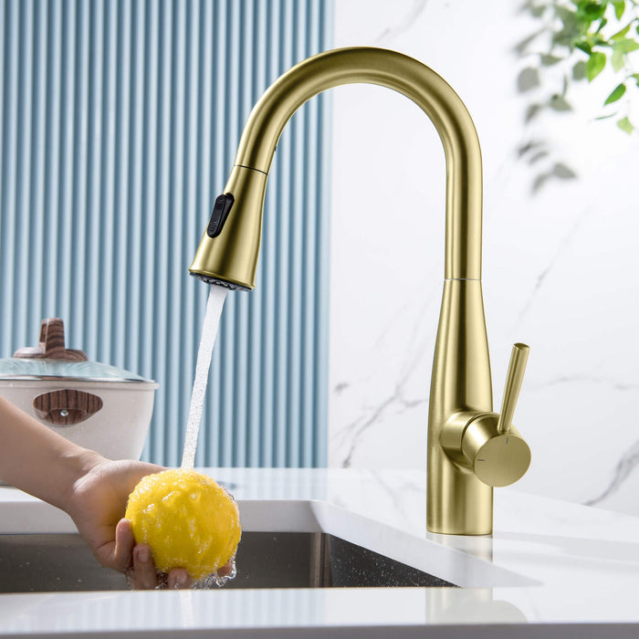 Kibi Bari Single Handle Pull Down Kitchen and Bar Sink Faucet With Soap Dispenser in Brushed Gold Finish -C-KKF2015BG-KSD100BG