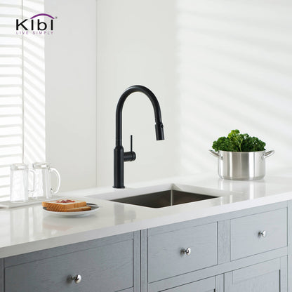 Kibi Hilo Single Handle High Arc Pull Down Kitchen Faucet in Matte Black Finish - KKF2008MB