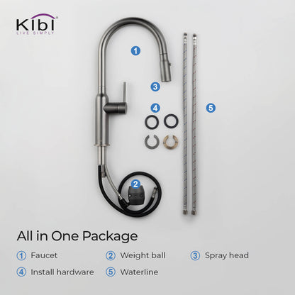Kibi Hilo Single Handle High Arc Pull Down Kitchen Faucet in Titanium Finish - KKF2008TT
