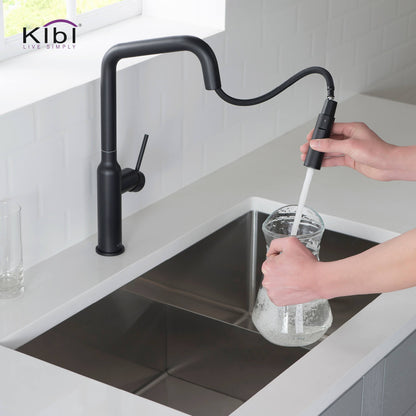 Kibi Macon Single Handle High Arc Pull Down Kitchen Faucet in Matte Black Finish - KKF2007MB
