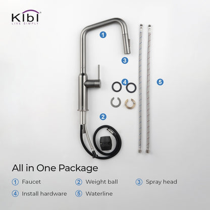 Kibi Macon Single Handle High Arc Pull Down Kitchen Faucet in Titanium Finish - KKF2007TT