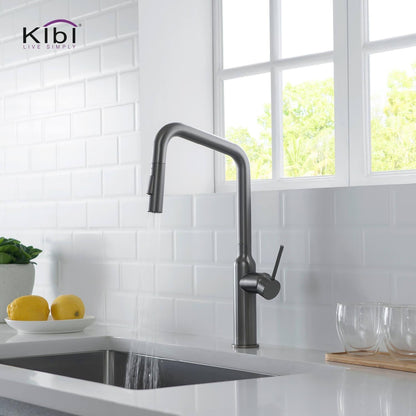 Kibi Macon Single Handle High Arc Pull Down Kitchen Faucet in Titanium Finish - KKF2007TT