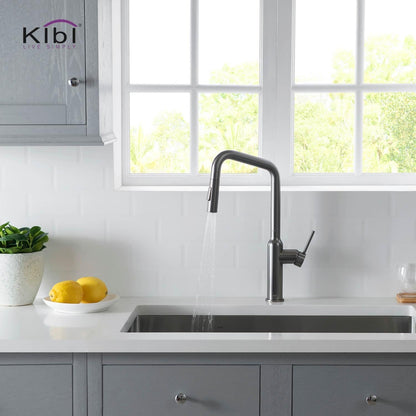 Kibi Macon Single Handle High Arc Pull Down Kitchen Faucet in Titanium Finish - KKF2007TT
