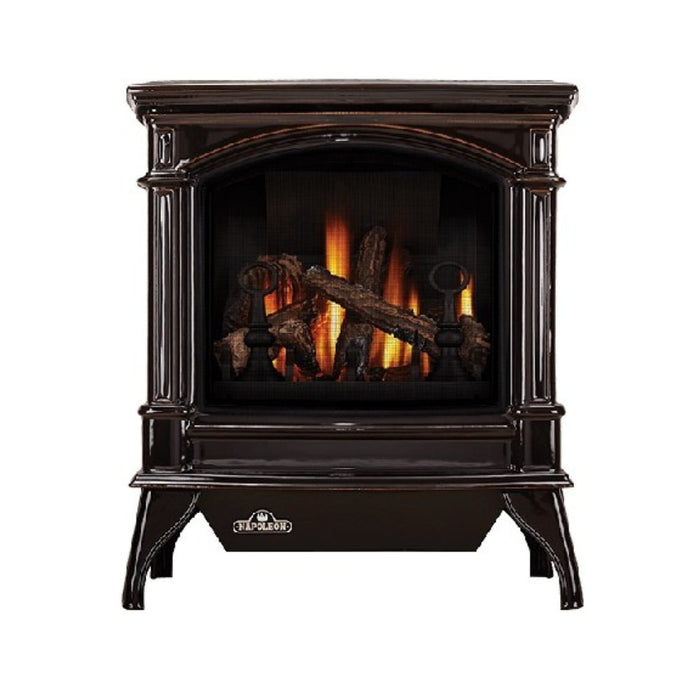 Napoleon Fireplaces Knightsbridge Free-Standing Direct Vent Gas Stove, Metallic Black, Napoleon, 27", GDS60-1NSB