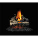 Napoleon Fireplaces Verso Reversible Vented Gas Log Sets, Propane, Napoleon, 22", 28", 32", GL22P