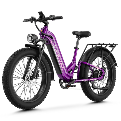 Aipas Hydraulic Brakes Ebike - M1-BK-MAX