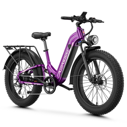 Aipas Hydraulic Brakes Ebike - M1-BK-MAX