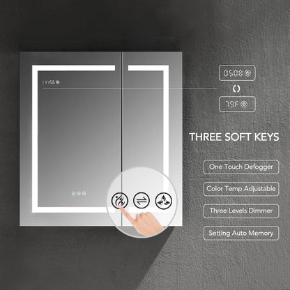 Blossom Asta – 30 Inches LED Medicine Cabinet - MCL2 3032