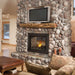 Napoleon Fireplaces Multi-View Direct Vent See-Thru Gas Fireplace with Logs, Napoleon, 45", BHD4STNA