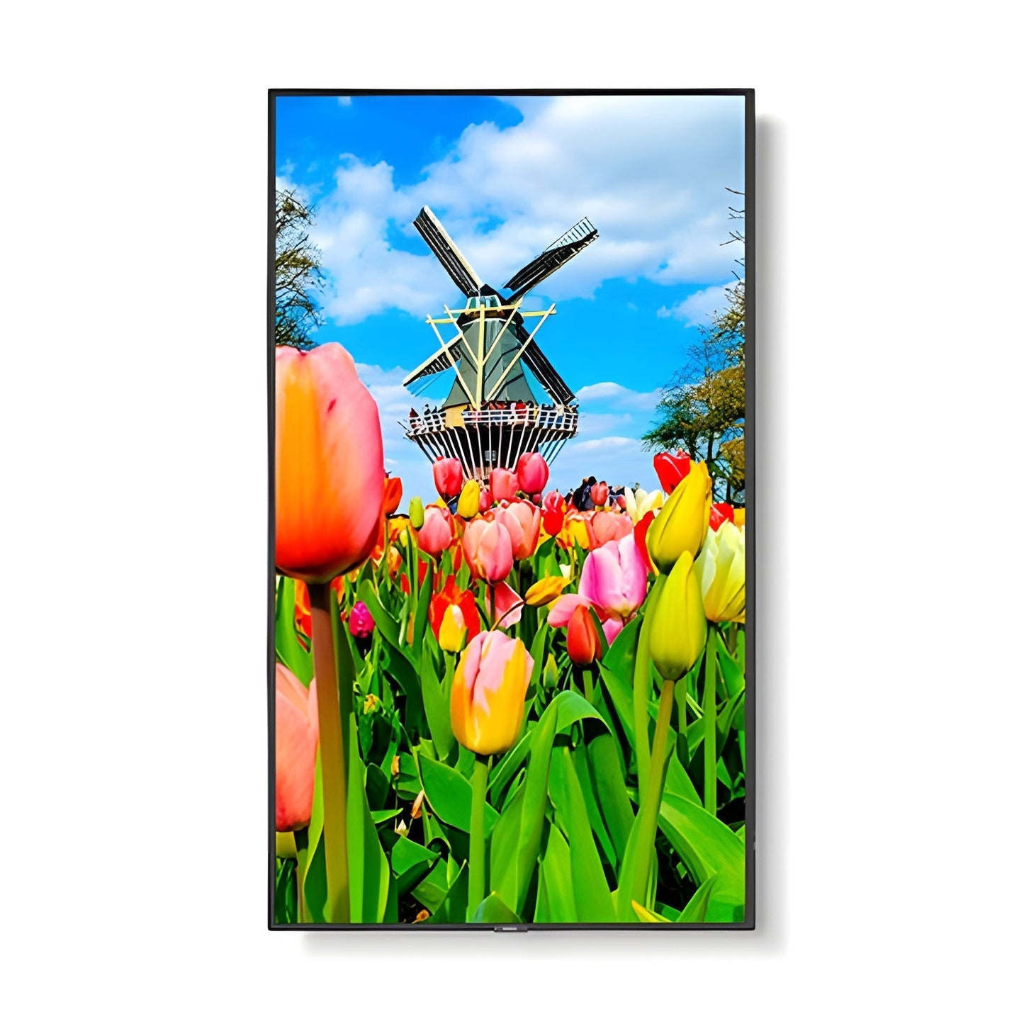 NEC UHD Professional Display - M651
